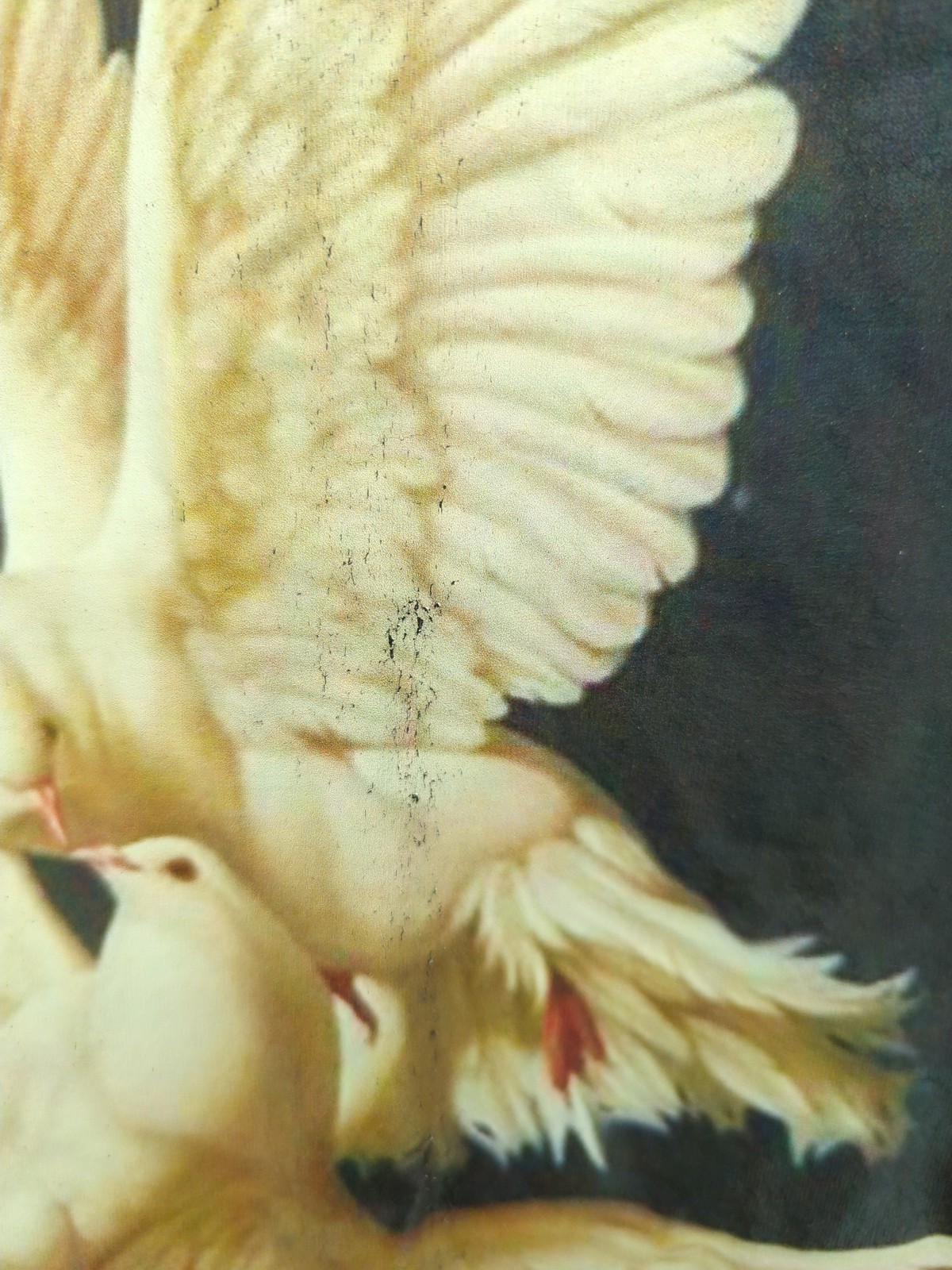 T shirt uomo 6 giugno M nera grafica 100% altra basic