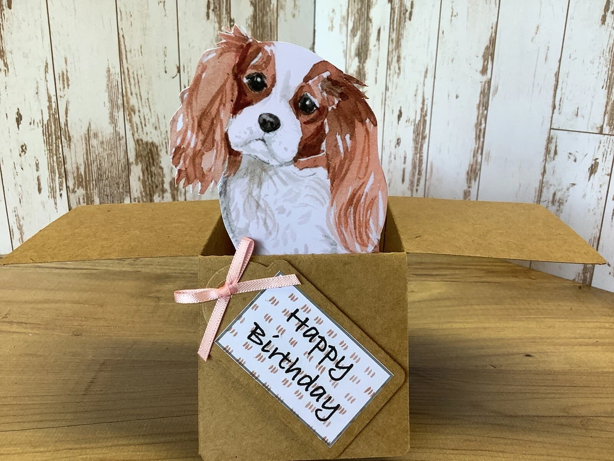 Ebay cavalier on sale king charles spaniel