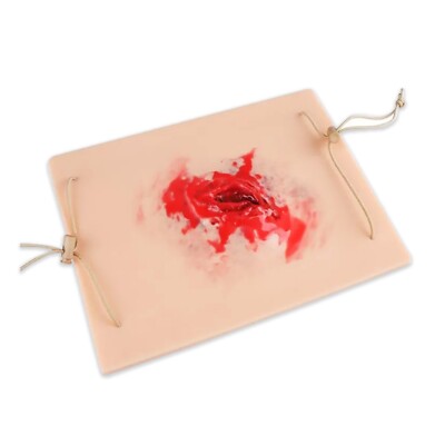 Trauma Training Model with Realistic Wound for Emergency Medical Education