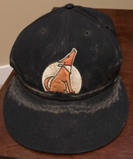 John Buck - Arizona Fall League Phoenix Desert Dogs Game Used Cap - ASI Hologram