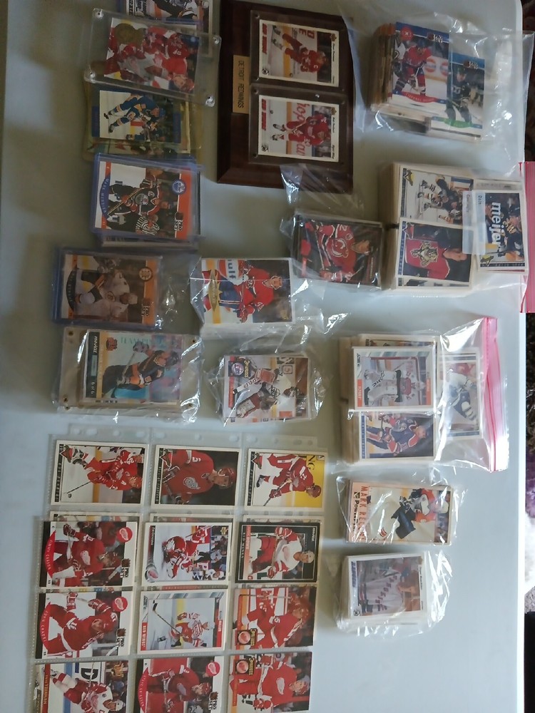 Vintage 1990s Hockey Card Lot with 800+ Rookie, Hologram & Error Cards