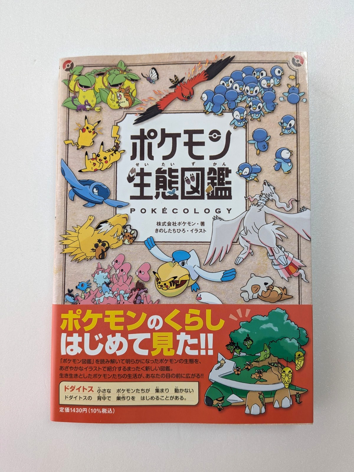 Pokemon Ecological Encyclopedia Artbook Pokecology From Japan 2025