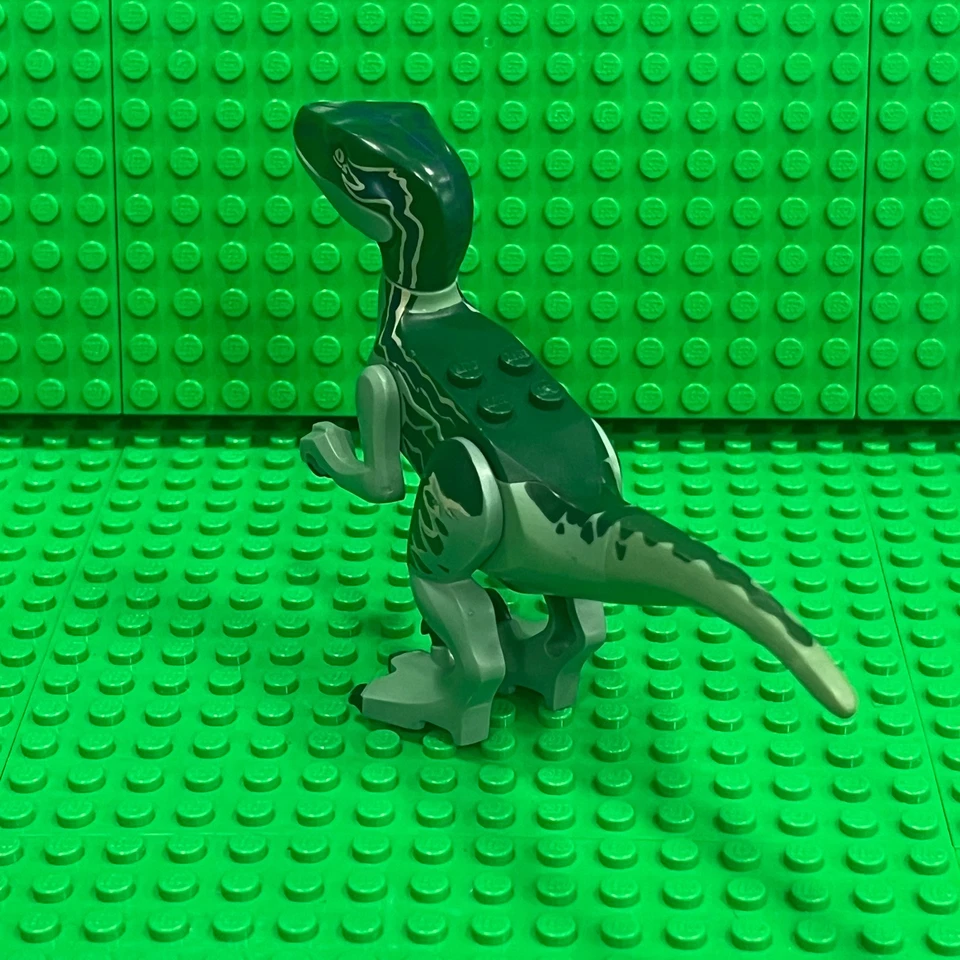 LEGO Dinosaurio Raptor / Velociraptor con Espalda Verde Oscuro y Azul Oscuro: Raptor07 Foto 3 de 3