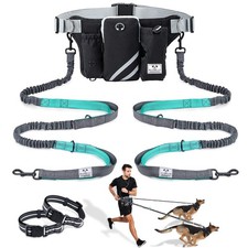 Retractable Hands Free Dog Leash with Dual Bungees for 2 Dogs, Adjustable Wai...