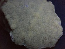 KB: FANTASTIC! LARGE! SW FL. YELLOW/WHITE CALCITE CRYSTALS ON MATRIX FROM POLAND
