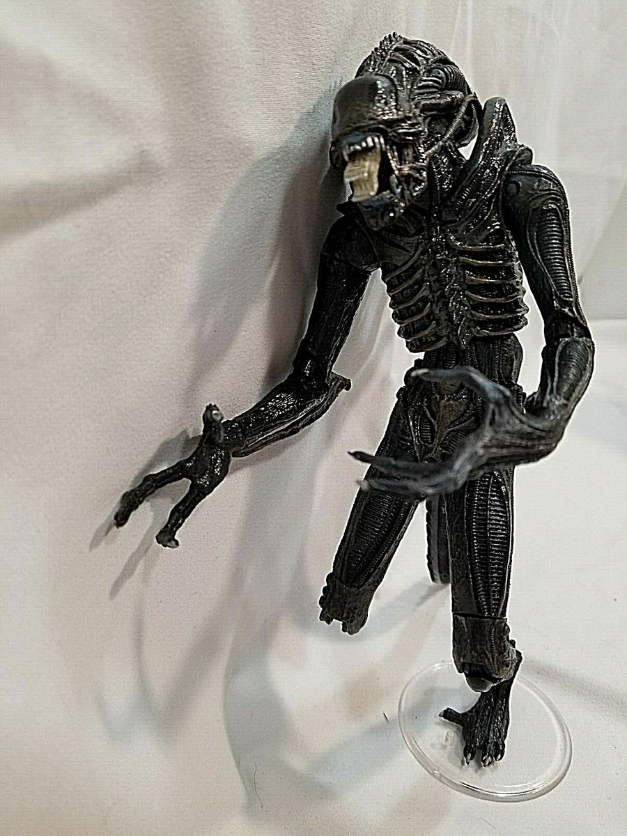 NECA ウォーリアー エイリアン(AVP ver) (新品未開封) NECA ネカ エイリアン 7インチアクションフィギュア シリーズ7