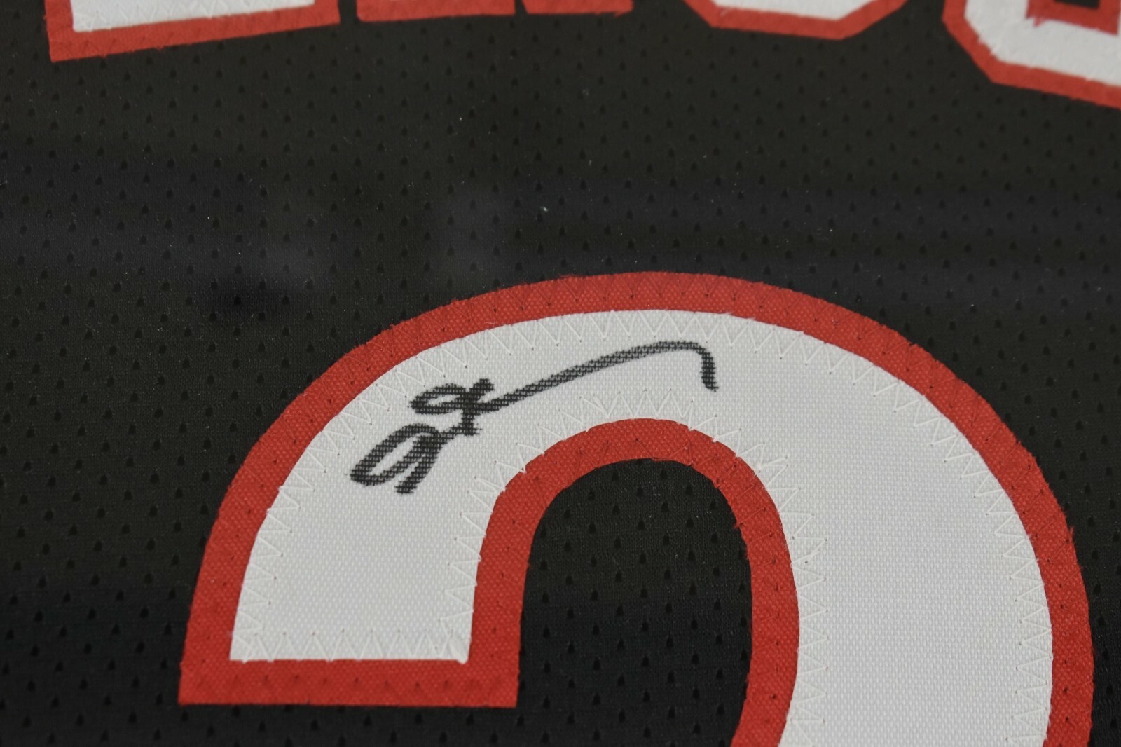 Picture 2 of 12
