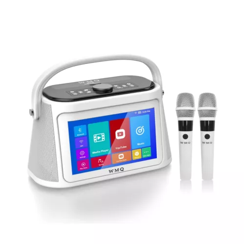 Portable Adult Karaoke Machine, Karaoke Speaker with Screen and Lyrics Displa...