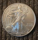 2009 American Silver Eagle 1 oz Fine Silver Beautiful Uncirculated Condition!