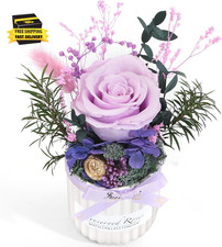 Mini Preserved Rose Arrangement in Ceramic Mini Vase, Real Touch Preserved Rose