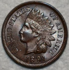 Uncirculated 1891 Indian Head Cent, Blazing, Lightly Toned specimen.