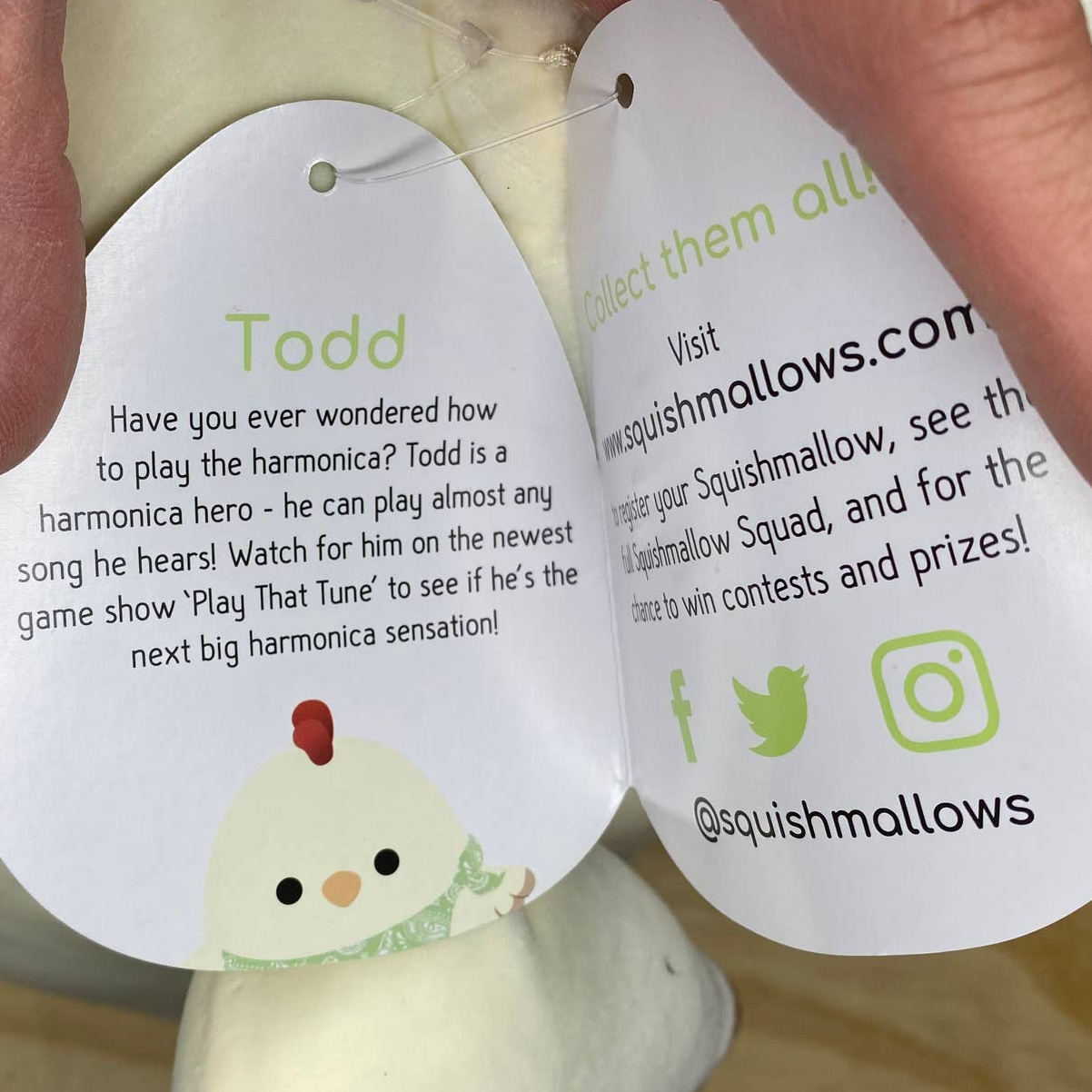 chick with bandana squishmallow