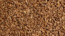 Seeds Harmal - Harmala - RUE ISBAND ISPAND ASPAND