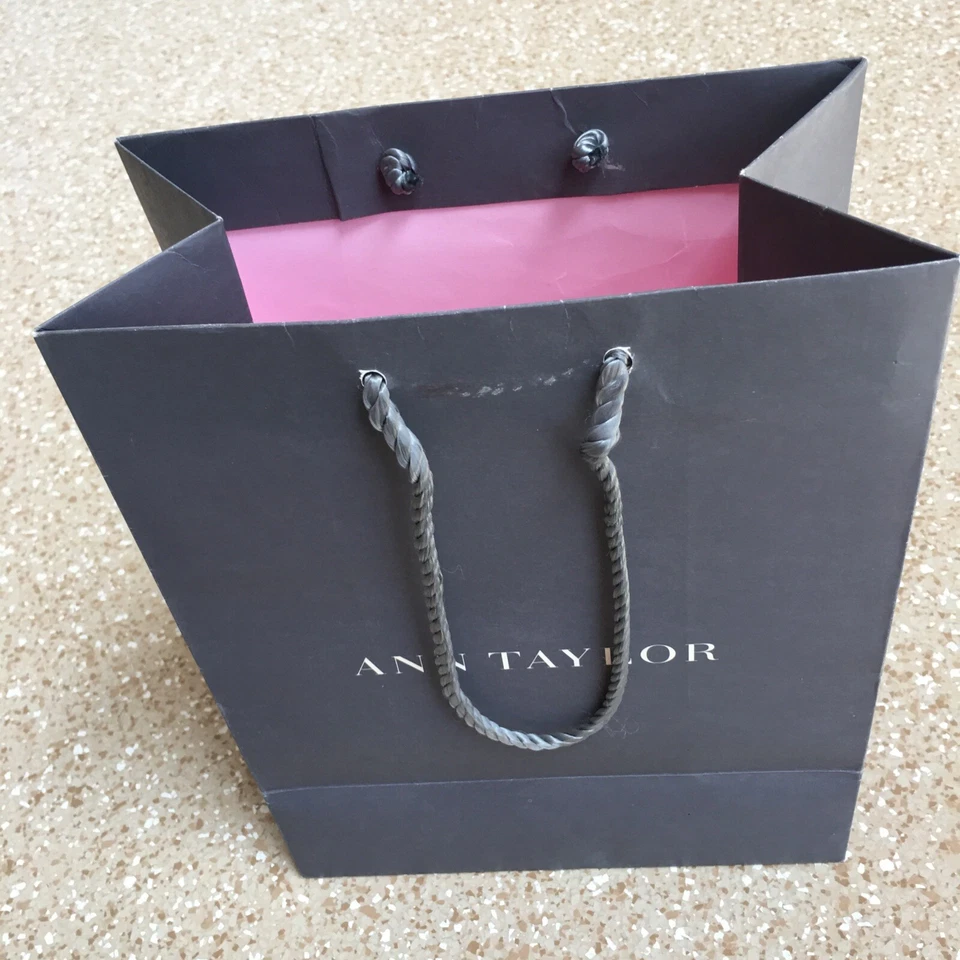 Bolsa de compras ANN TAYLOR auténtica bolsa de regalo de papel vacía (11,5” X 9” X 5”) B-129 Foto 4 de 4