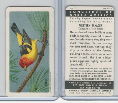 FC34-1 Brook Bond, Songbirds North America, 1959, #17 Western