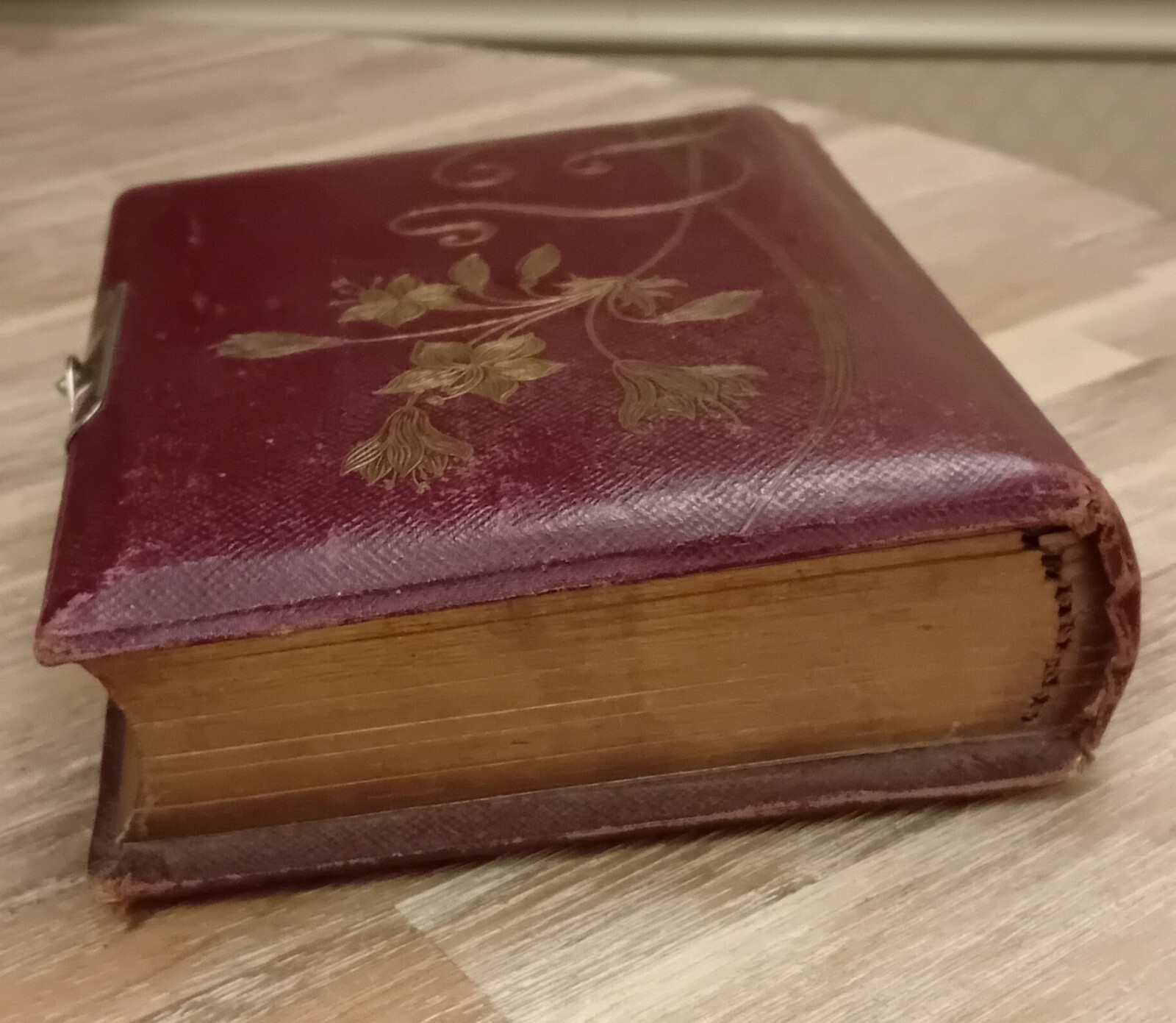 Antique Photo Album of Cards eBay