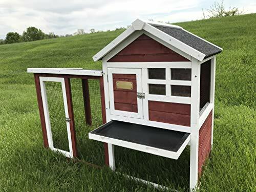 advantek stilt house rabbit hutch