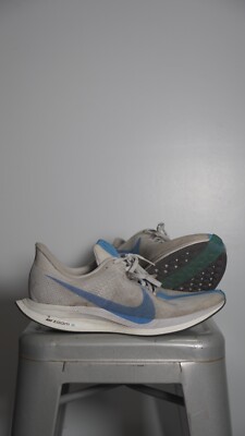 zoom pegasus turbo blue hero