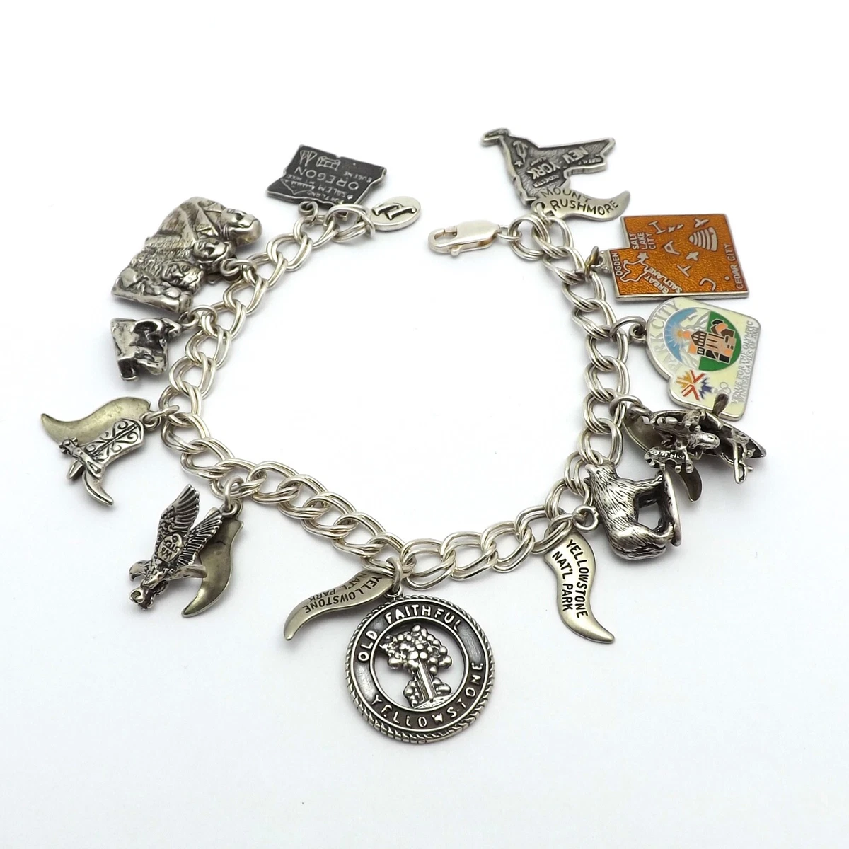 National park on sale charm bracelet