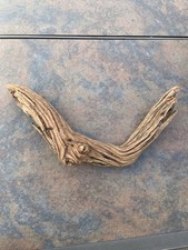 Natural Driftwood for Plants Terrarium Taxidermy Art Projects