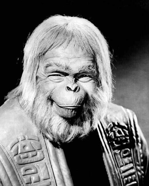 Planet of the Apes 1968 Maurice Evans as the wise Dr. Zaius 8x10