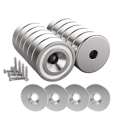 Magnetpro 12 Stück Magnete 10 KG Kraft 20 X 7 Mm Mit Loch Und Kapsel, Senkkopf-T