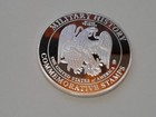 Commemorative Stamp *West Point Academy* Silver Layered Medal Crown size U.S* — photo 3