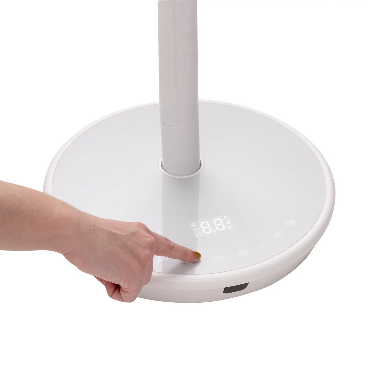 Woozoo 360 Pedestal Fan Air Circulator, Oscillating, Remote