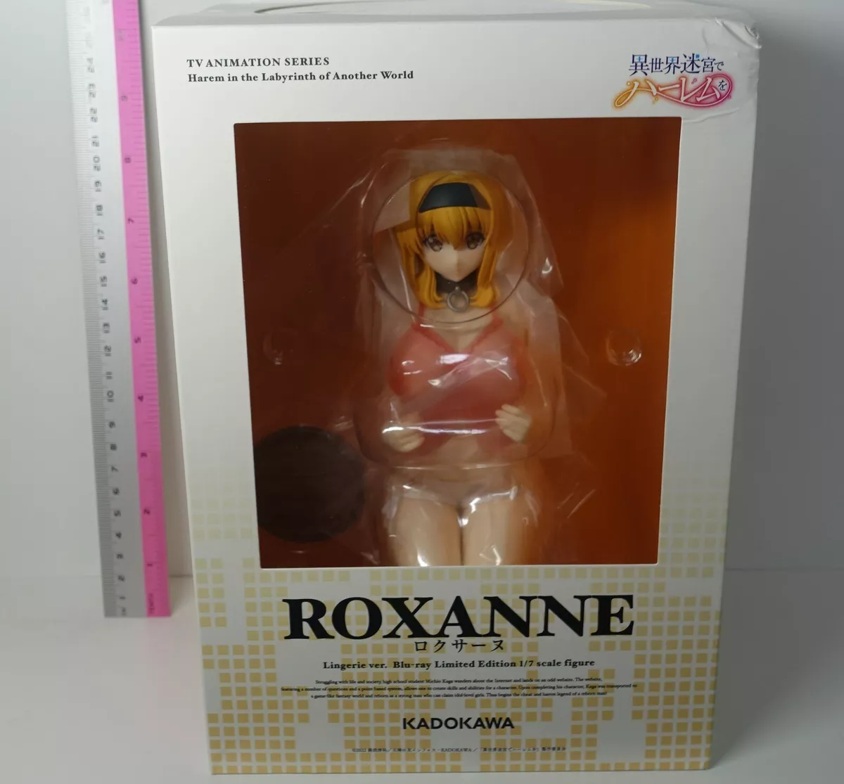 Harem in the Labyrinth of Another World B2 Tapestry A [Roxanne] (Anime Toy)  - HobbySearch Anime Goods Store