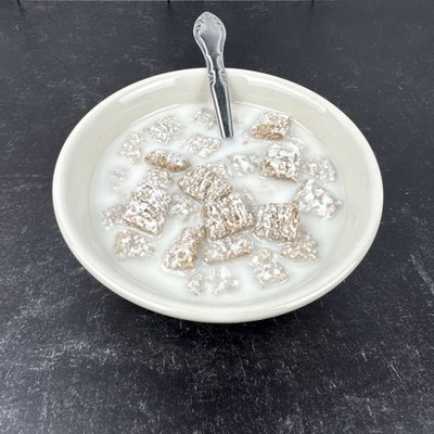 Display Faux Food Prop Bowl of Cereal Shredded Wheat With Milk & Spoon Tuxton