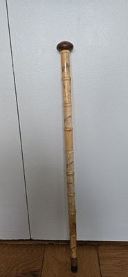 Walking cane, Rare Expensive Natural Material 