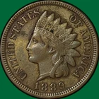 1889 Indian Head Cent Almost Uncirculated AU Coin #34538
