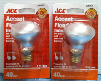 ACE Accent Flood Light, Indoor, 40W,  LOT OF 2  (3019825)  FS