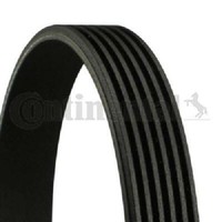 Original Continental Ctam Keilrippenriemen 6PK831 Elast FüR Ford