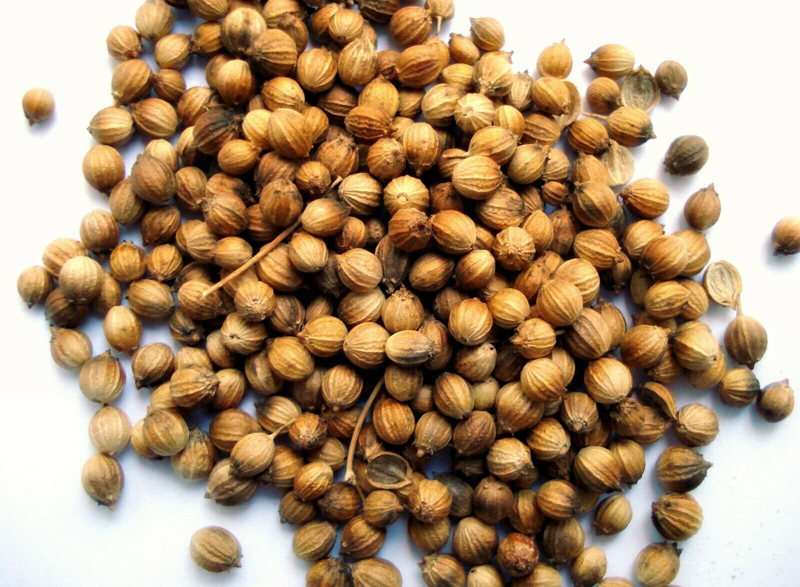 Ceylon Coriander Seeds Koththamalli pure Srilanka Spice Original New