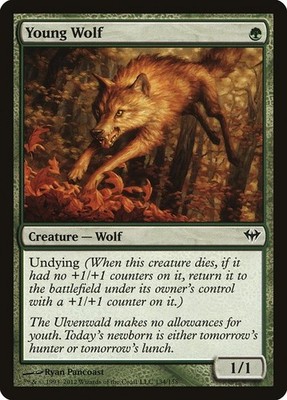 [MTG] Young Wolf (134) (DKA) LP-HP