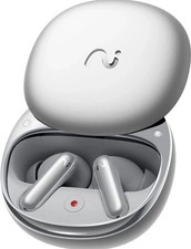 Viaim RecDot Wireless Bluetooth AI Conference Earbuds With Live Transcription
