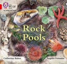 Rock Pools: Band 02b/Red B by Catherine Baker (English) Paperback Book