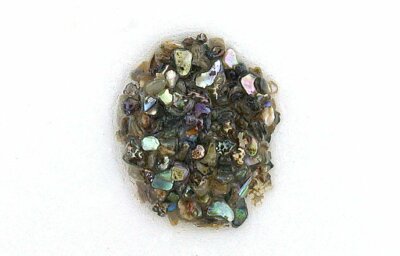 Wholesales Natural Paua Abalone Shell Round Chips Inlay Blanks for Decorations A