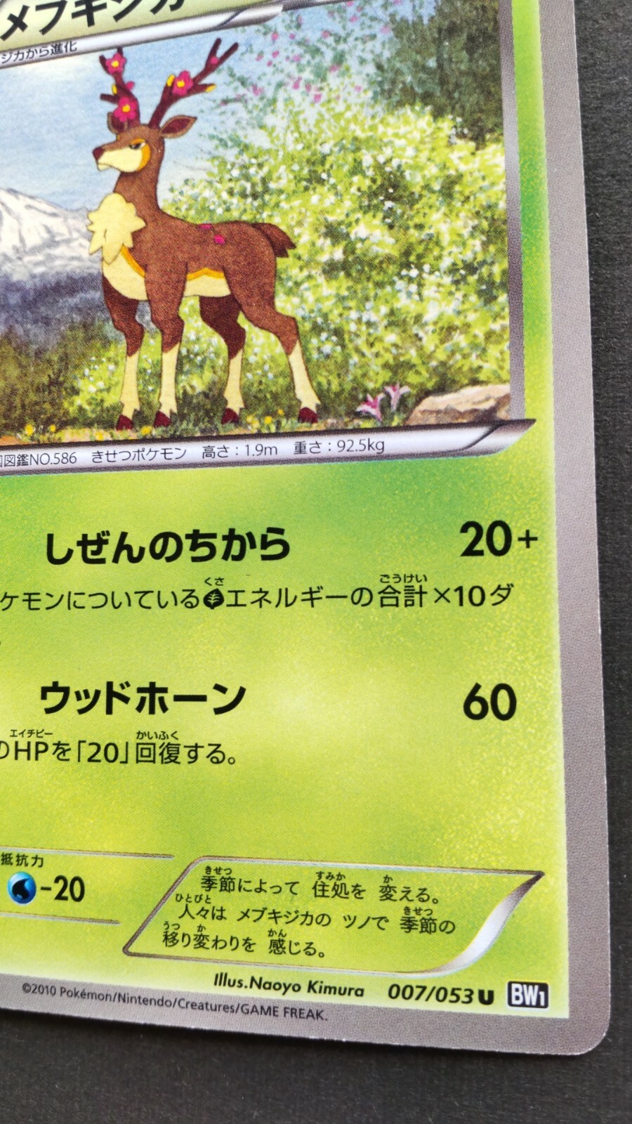 Sawsbuck Pokemon Card Japanese Game Nintendo Rare 007/053 U 1st Edition
