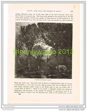 FARMYARD IN BRITTANY, FRANCE, Book Illustration c1890