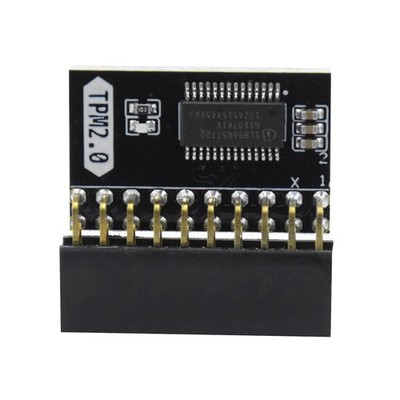TPM 2.0 Module LPC 20 Pin Security Module for ASUS Gigabyte Motherboard Windows 