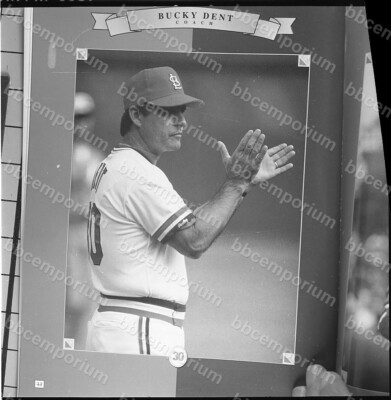 Bucky Dent Medium Frame Negative - Jim Rowe Archive Z371 | eBay