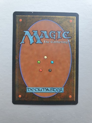 Order of Leitbur MTG Fallen Empires (1994) Common White Creature NM - Picture 2 of 2