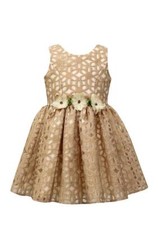 JAYNE COPELAND Girls' 10 Floral Burnout Dress NWT