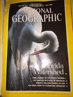 A Lot Of 11 1980S And 90S National Geographic Magazines — photo 10