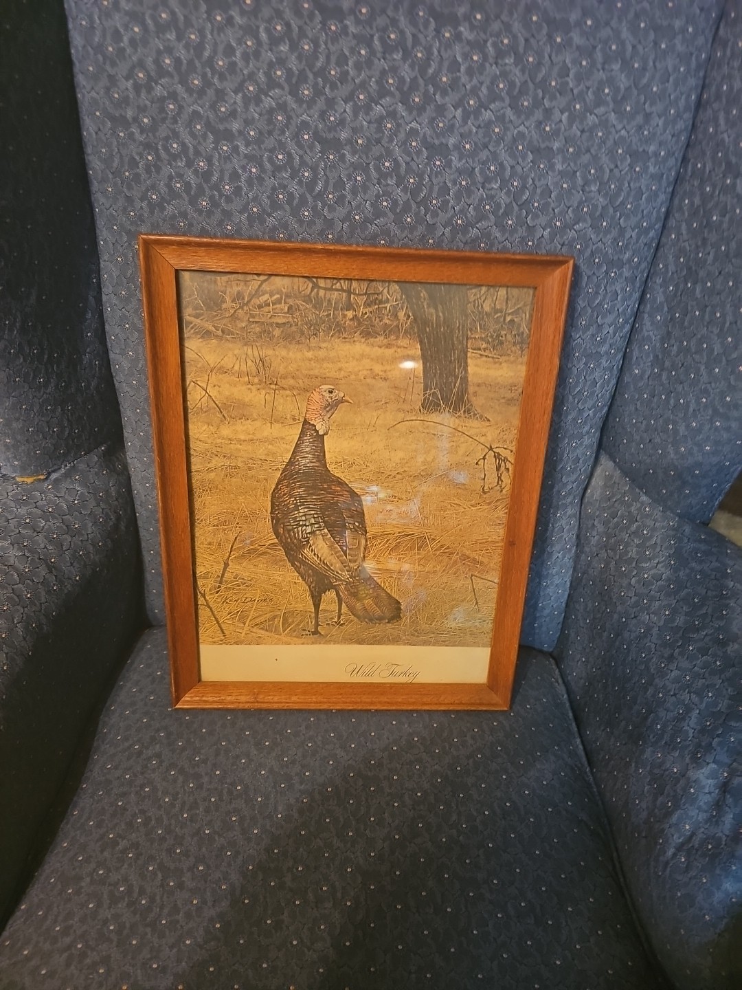 Framed Ken Davies Wild Turkey Signed