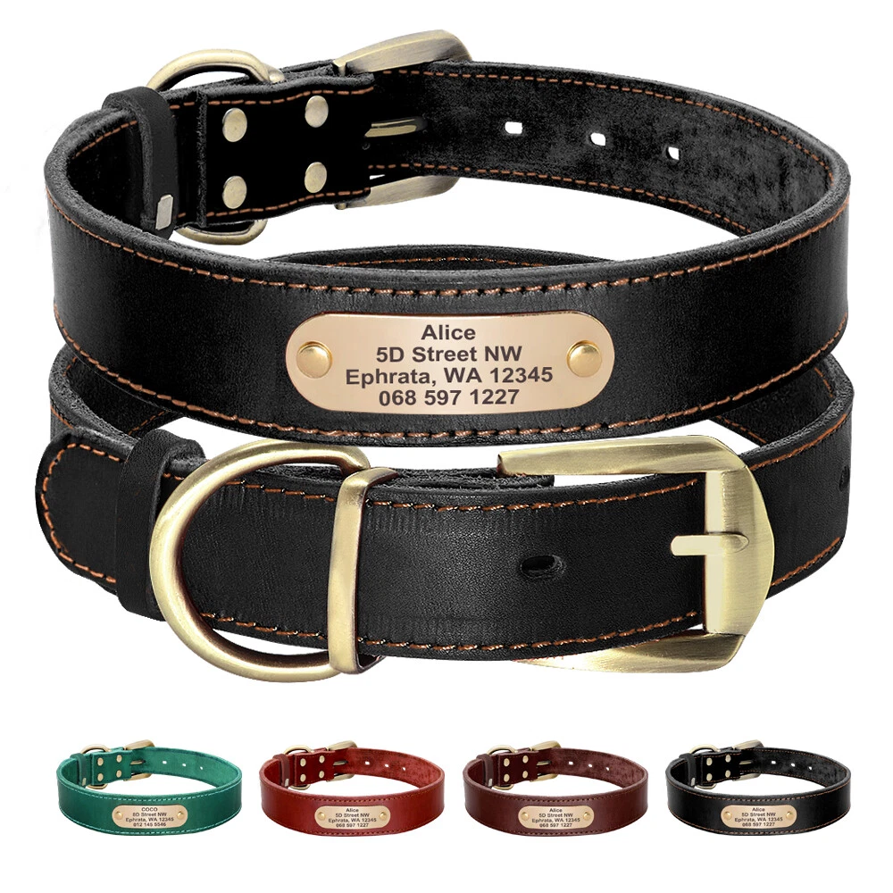 Leather dog collars cheap personalized name plate