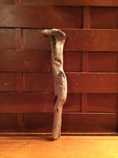 Beautiful 9" DRIFTWOOD Art Piece Terrarium Taxidermy Aquarium Beach Wood DECOR