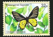 UN 1998 MNH, Endangered Butterflies, Golden Bird Wing Birds 